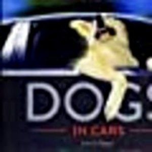Dogs in Cars